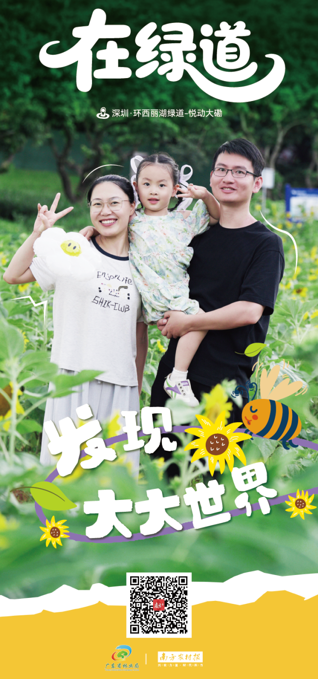 环西丽湖的绿道奇遇记 | 寻美南粤⑤