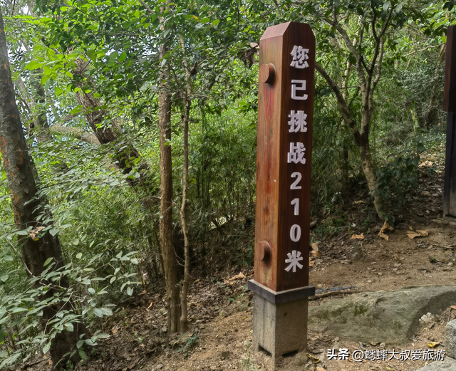 这个浙江五线城市公园太吸睛了，有“财神”加持，夜景美得不像话