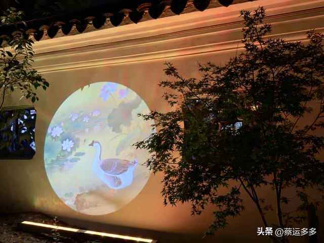 夜游上海古猗园，夜景璀璨迷人