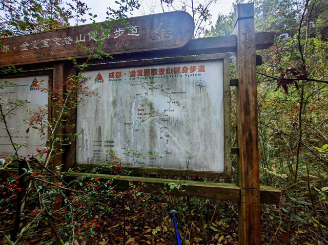 成都南门1h亲子游宝藏地，捉螃蟹、捡蘑菇、徒步钓鱼，太好玩了！