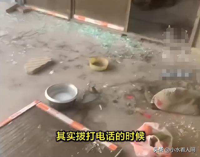 狗主人被反杀案开庭	，9人闯门打砸，妻子后悔冲动，更多细节披露