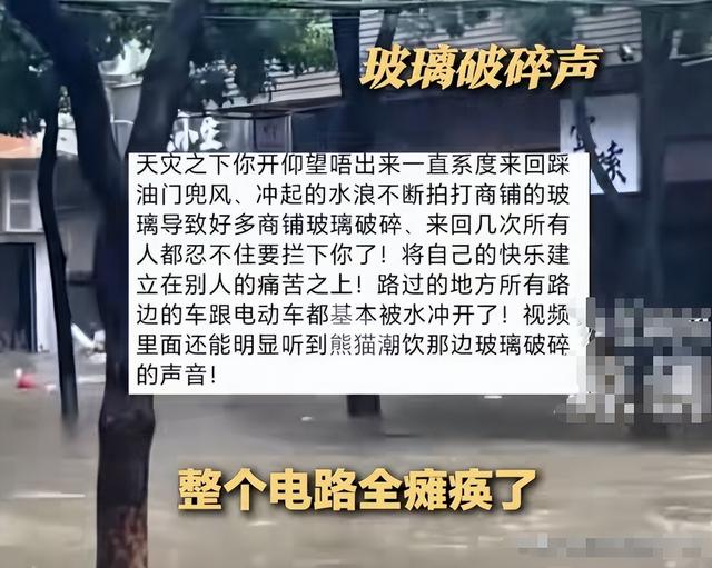 台风天开车“冲浪”后续：司机被行拘，身份遭扒，难怪做出这种事