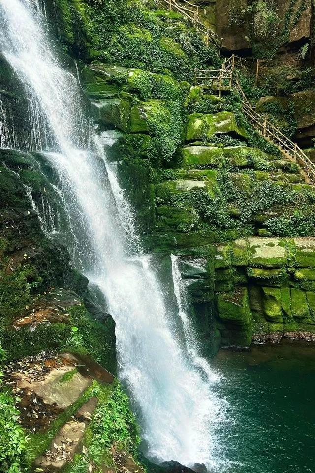 逃离高温！成都2H躲进峡谷避暑地，徒步森林瀑布、探秘野生动物！超萌奖牌周末就冲！