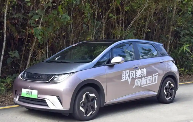 为啥中国电车满街窜，国外却死抱着油车？3个大实话给你整明白！