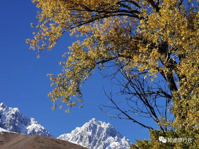 避开人潮，经典川西秋色10天行，人生必须要有的一场旅行！
