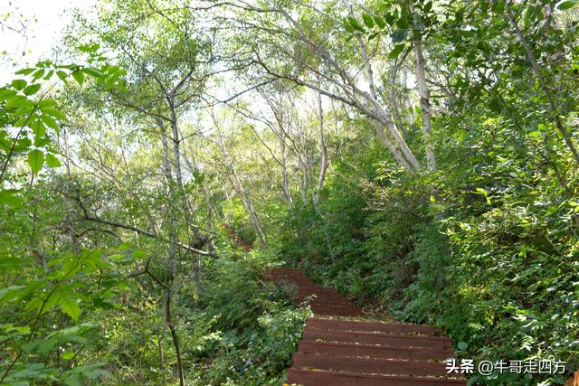 河北百草畔（中）：览尽三山舒望眼，行穿百草浣尘襟