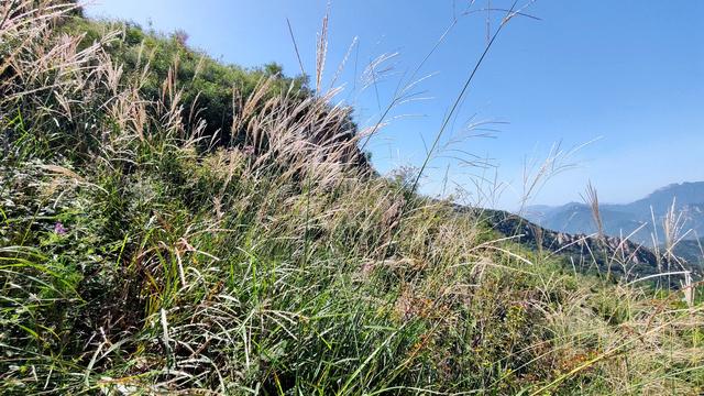 探秘西北梁：一场藏在封龙山余脉里的秋日驴行