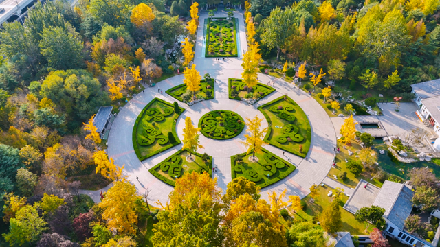 潍坊美景“告急”！这些地方错过等一年！