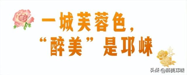 聆听邛崃丨一城芙蓉色，“醉美”是邛崃