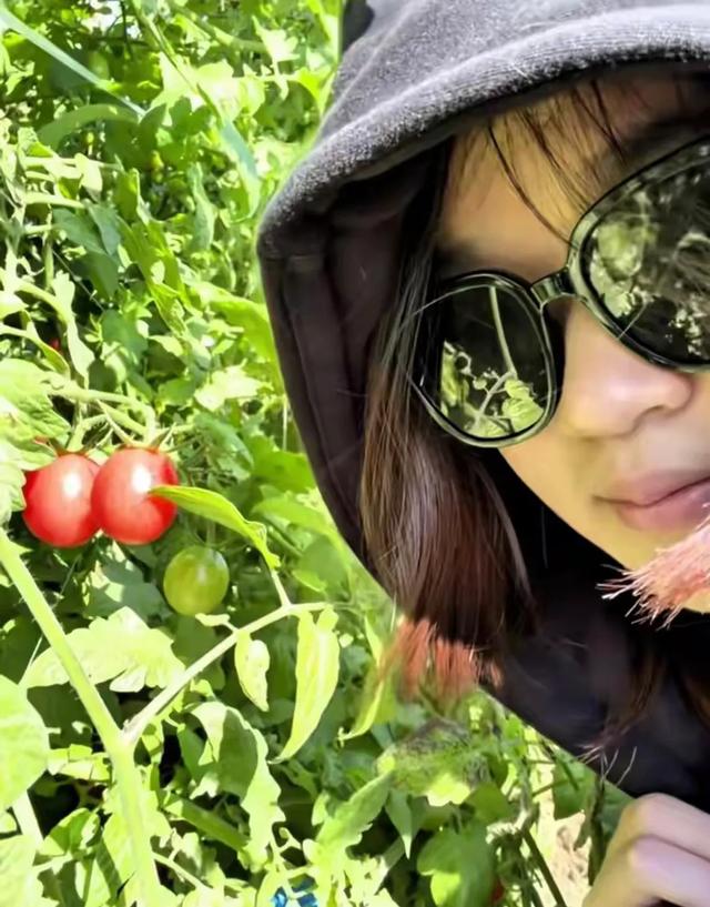 全红婵回农村老家，心情大好！一会逛新房工地	，一会悠闲摘草莓！