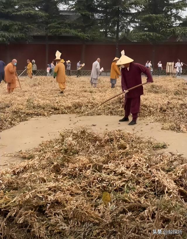 不到24小时，少林寺新住持就被各大网友质疑，连理由都出奇一致