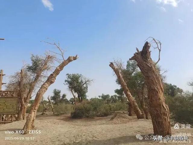探秘新疆巴楚红海景区：自然与人文的交响｜ 申艳娟