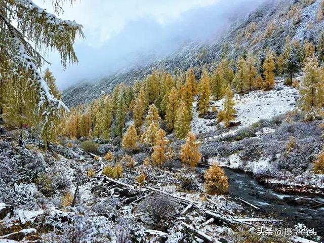 甲依拉措 :一场白雪与彩林的盛宴