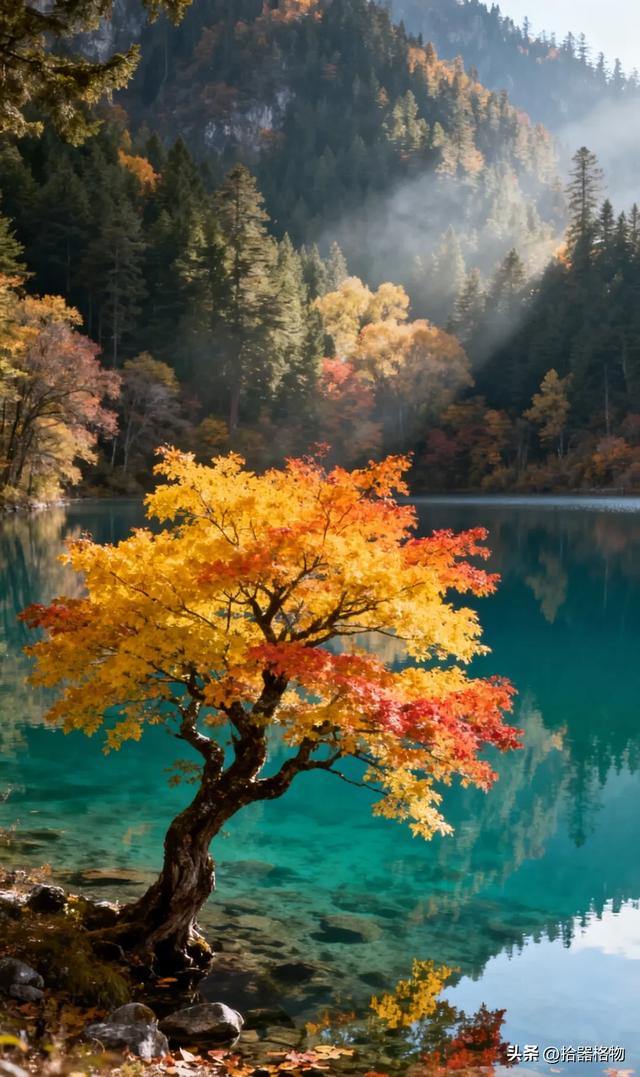 一湖秋水映长天,满眼秋色入画来