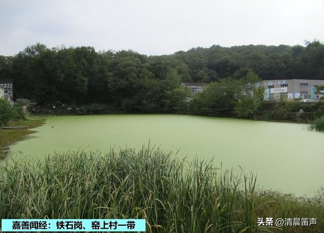 金陵48景：嘉善闻经