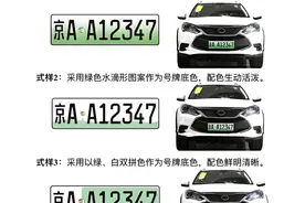 雷军两会提议“换车牌”，新车牌会有哪些设计方向？图片