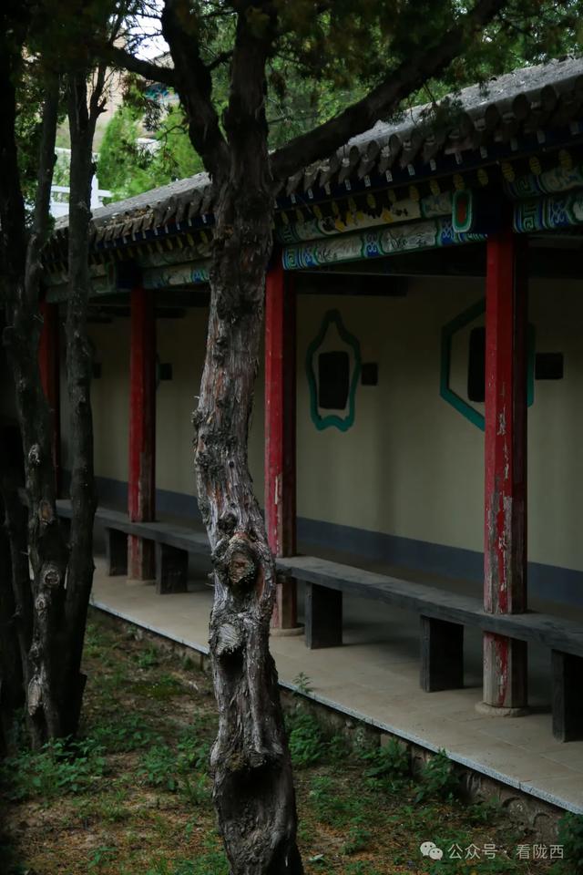 【图观陇西·新视角】仁寿山情：镌刻陇西历史的坐标