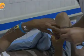 晋江：采收胡萝卜多人被蛇咬 医生提醒注意防范图片