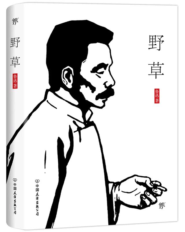 这7本书读完第3遍，我才发现曾经白活了！文学编辑私藏重生书单