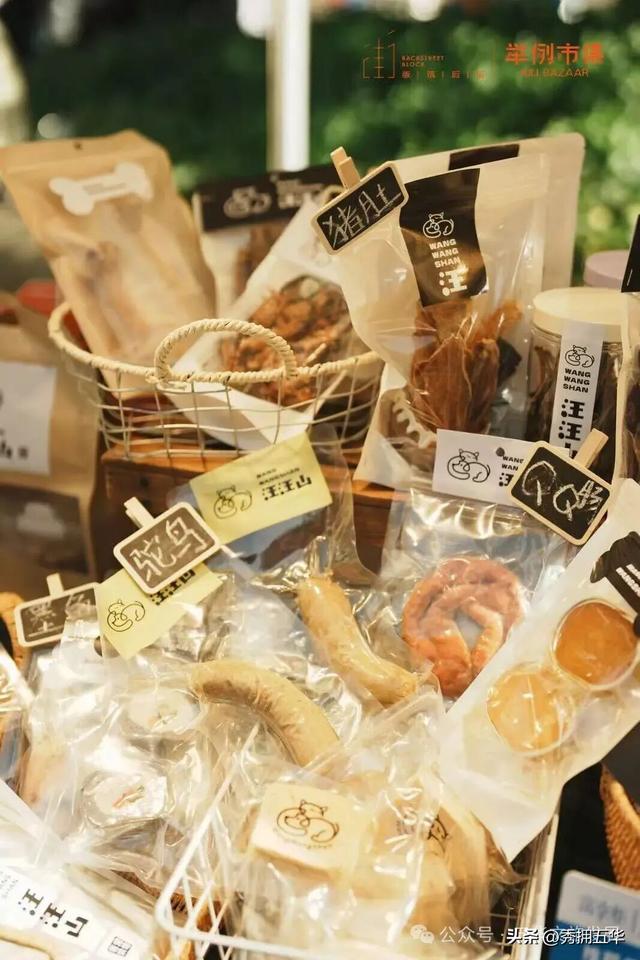 赏银杏、会海鸥，邂逅一场丰容的“昆明式暖冬”