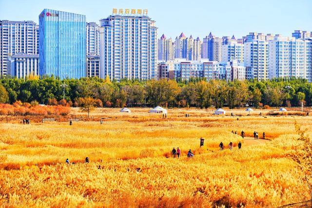 鄂尔多斯和包头，哪个城市宜居