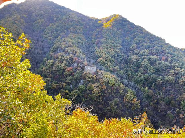 长城徒步之94：密云烧香峪、五虎门、黑谷关长城秋色