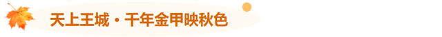 国庆挤破头？不如来临沂！今年临沂国庆超热闹~~
