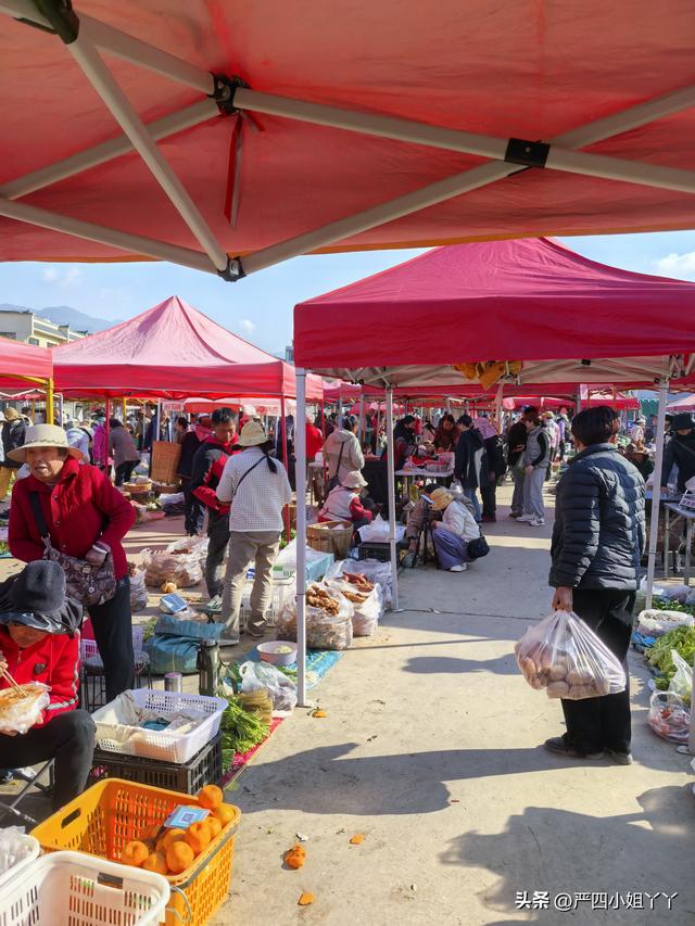 柯街黑温泉度假之旅，最后一个赶集日的烟火与日常