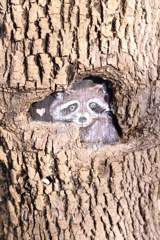 什么？日照这里有一群“小精灵”？！