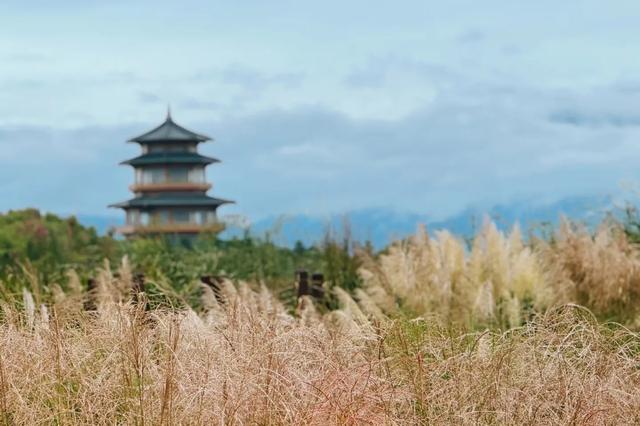 西安这个免费的“小江南”，景似西湖，人少还更有故事提起西安，