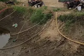 河南山东等地大旱，农民顶高温浇地，网友问：小麦收了浇地干嘛图片