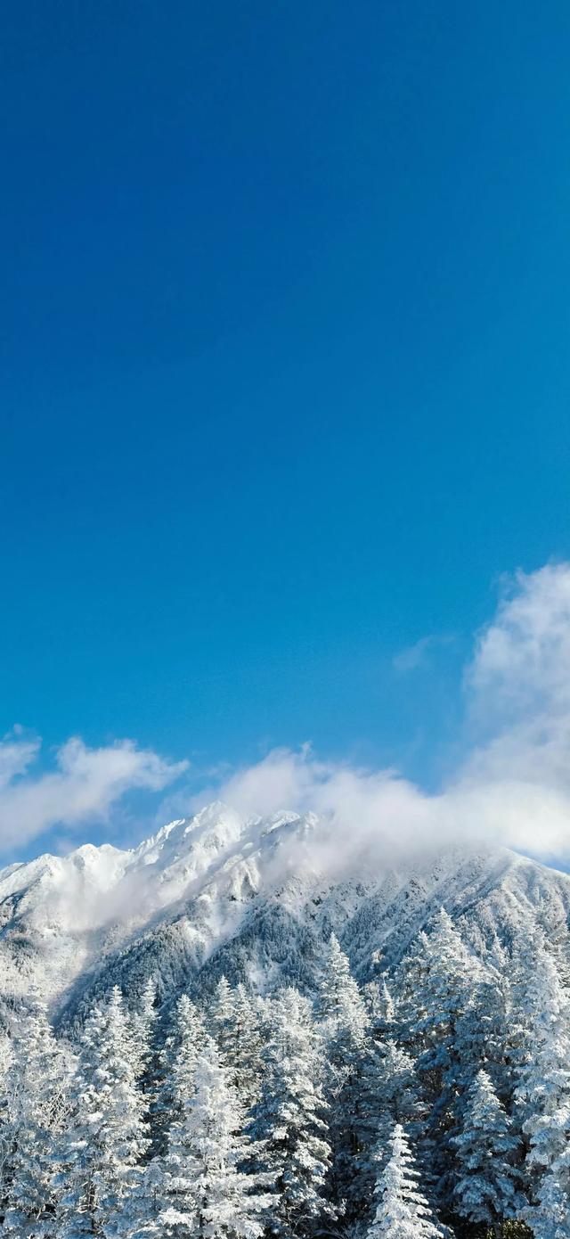 今日份的壁纸已送达