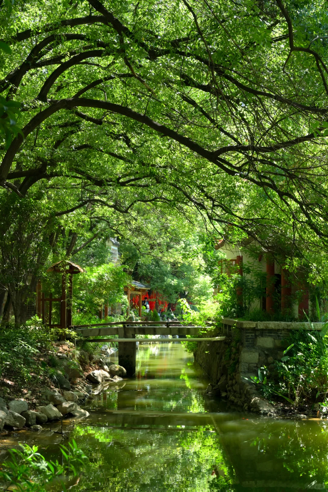 南昌像铁锤，景德镇像瓷碗，撞在一起那也都是真实的江西！