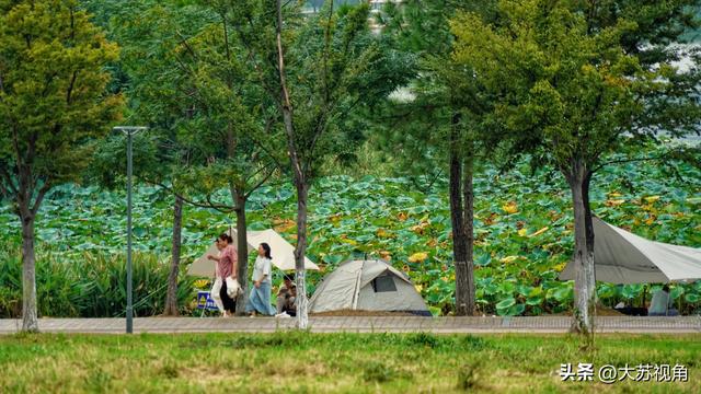 南京溧水藏不住了！国庆露营扎堆，免费湖景+遛娃彩蛋太好逛