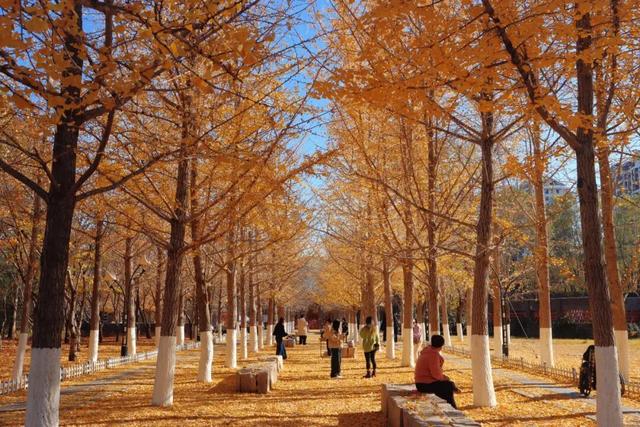 园中园，画中画，秦皇岛一河两园自然馈赠！