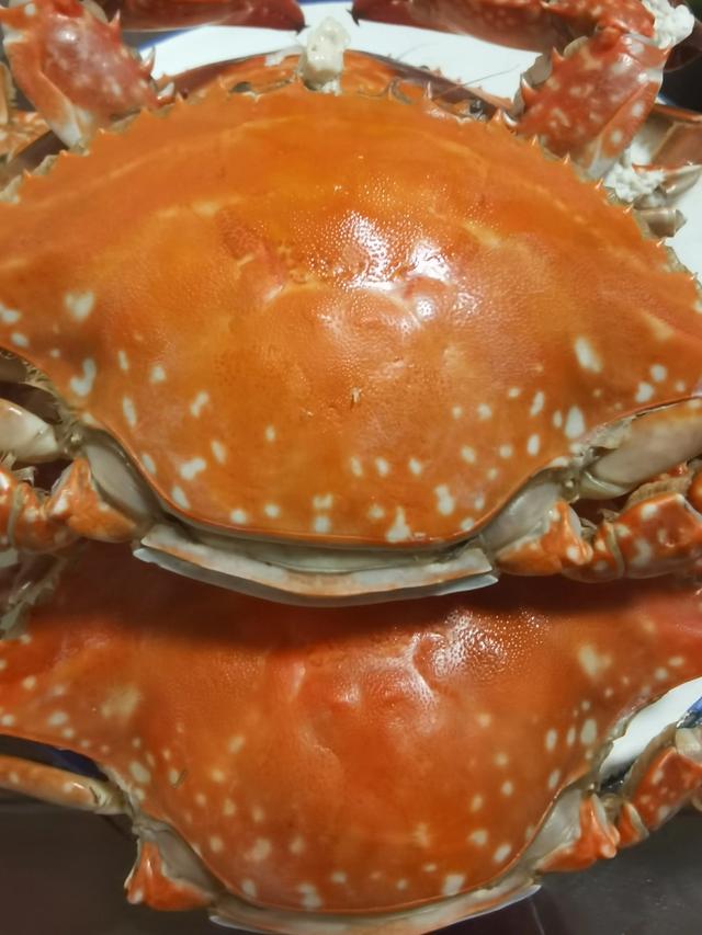 菠菜和花胶可以同吃吗 2025年菠菜可以和花胶一起吃吗