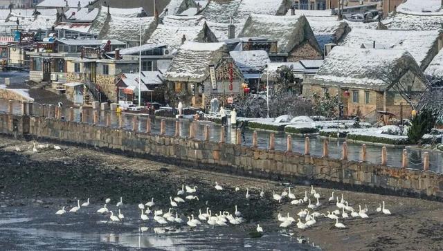 冬日畅游齐鲁，相约乐GO山东！