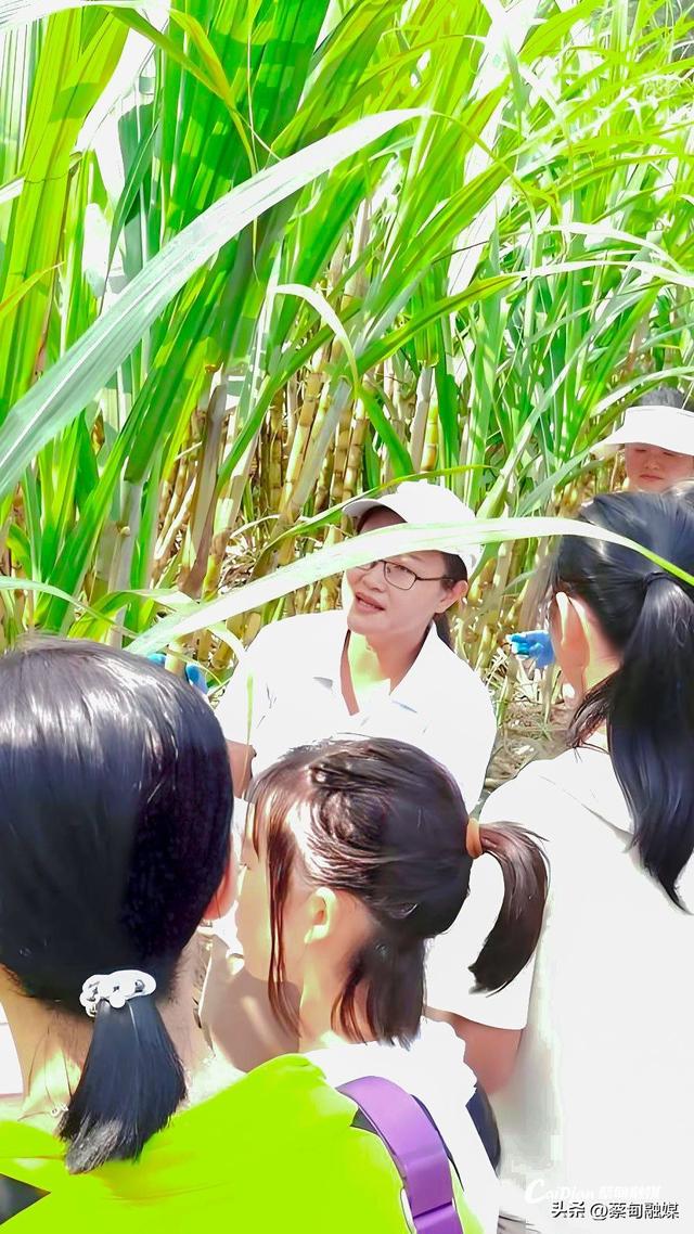 十一趣游后官湖！八大文旅新项目+特色民宿，承包你的假日欢乐