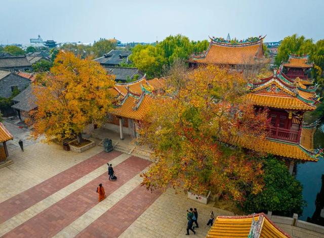 抓住秋天的尾巴 | 台儿庄古城秋色打卡指南，附私藏机位！