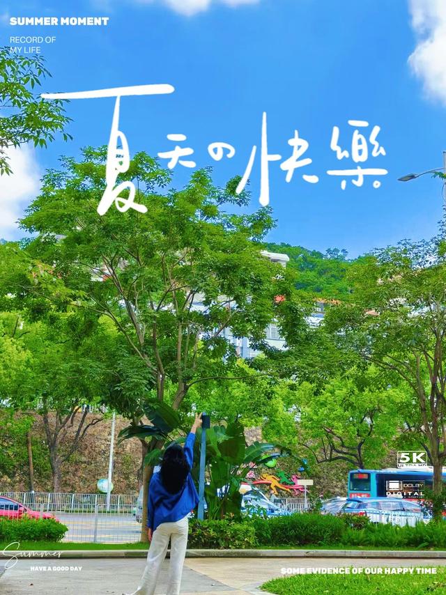 夏日的蓝调时刻~拍不完真的拍不完！