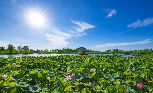 世界上只有中国邯郸市才有的全球独一无二的10大奇景