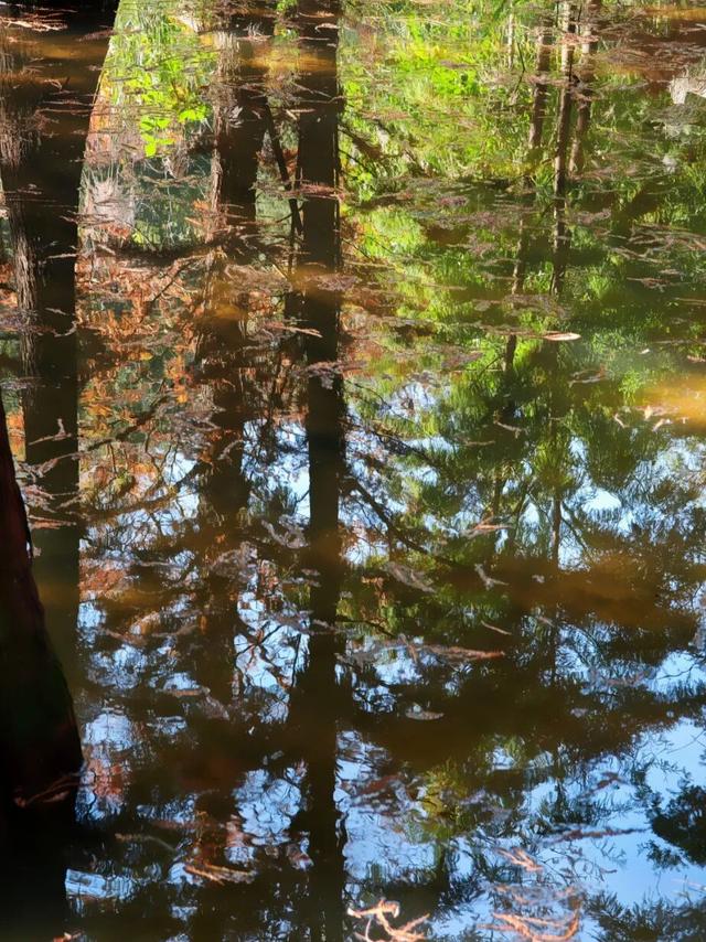 悦·遵义 | 美到犯规！播州这里藏着一个“油画世界”，随手一拍就是大片！