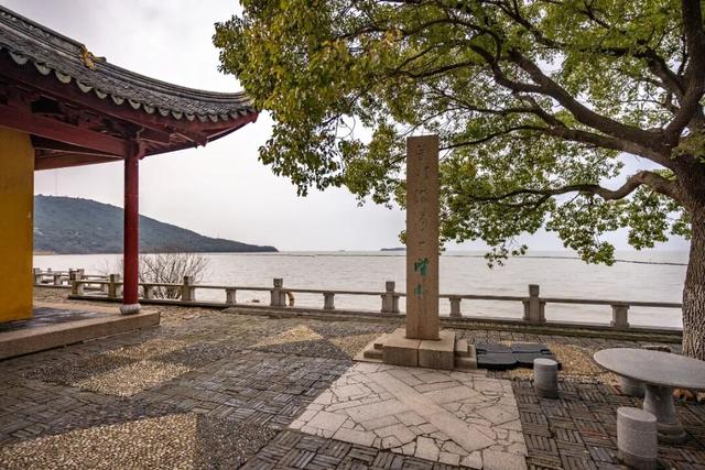 真的很美！2025苏州太湖观鸟超详细攻略来啦！