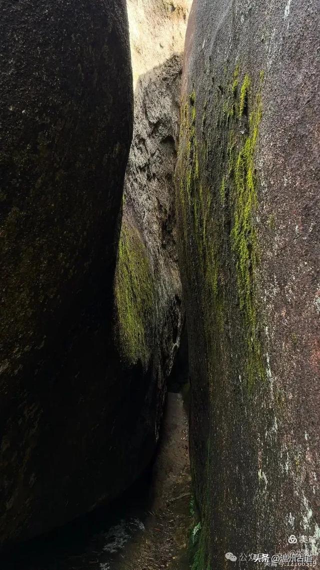 “浙南之巅”竟藏着以奇石景观著称的微缩版三清山，目前免费玩！