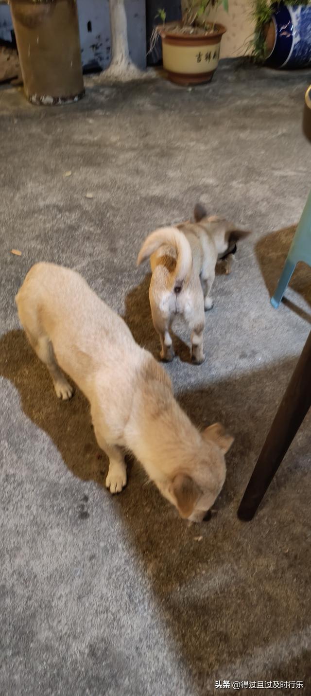 婺源游记-01慢品人间烟火