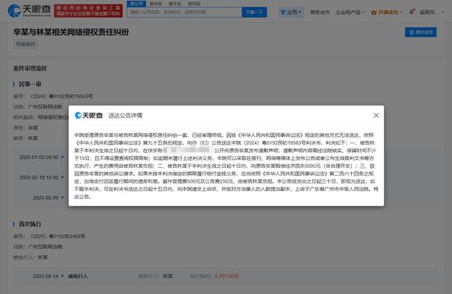 侵权辛巴网友被执行5257元