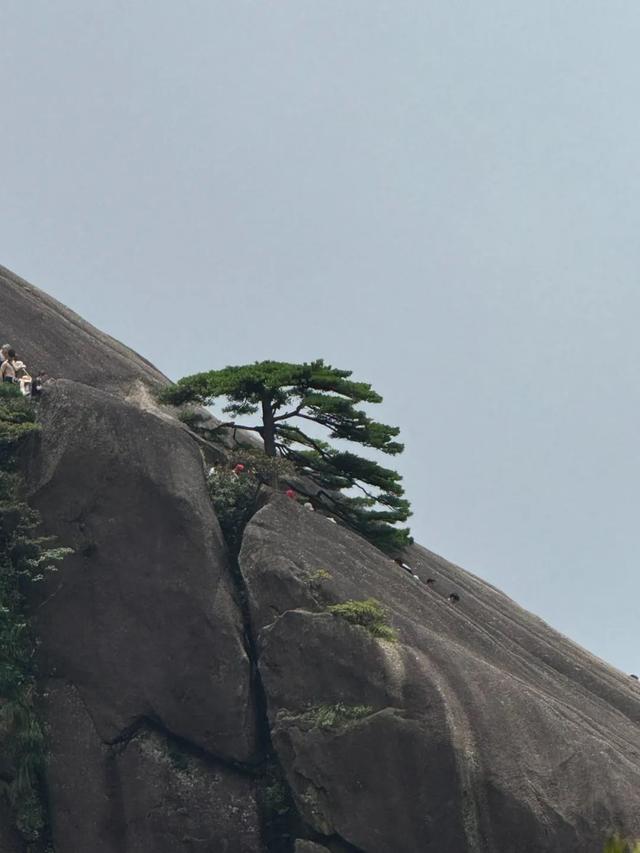 徒步三山五岳：安徽黄山！