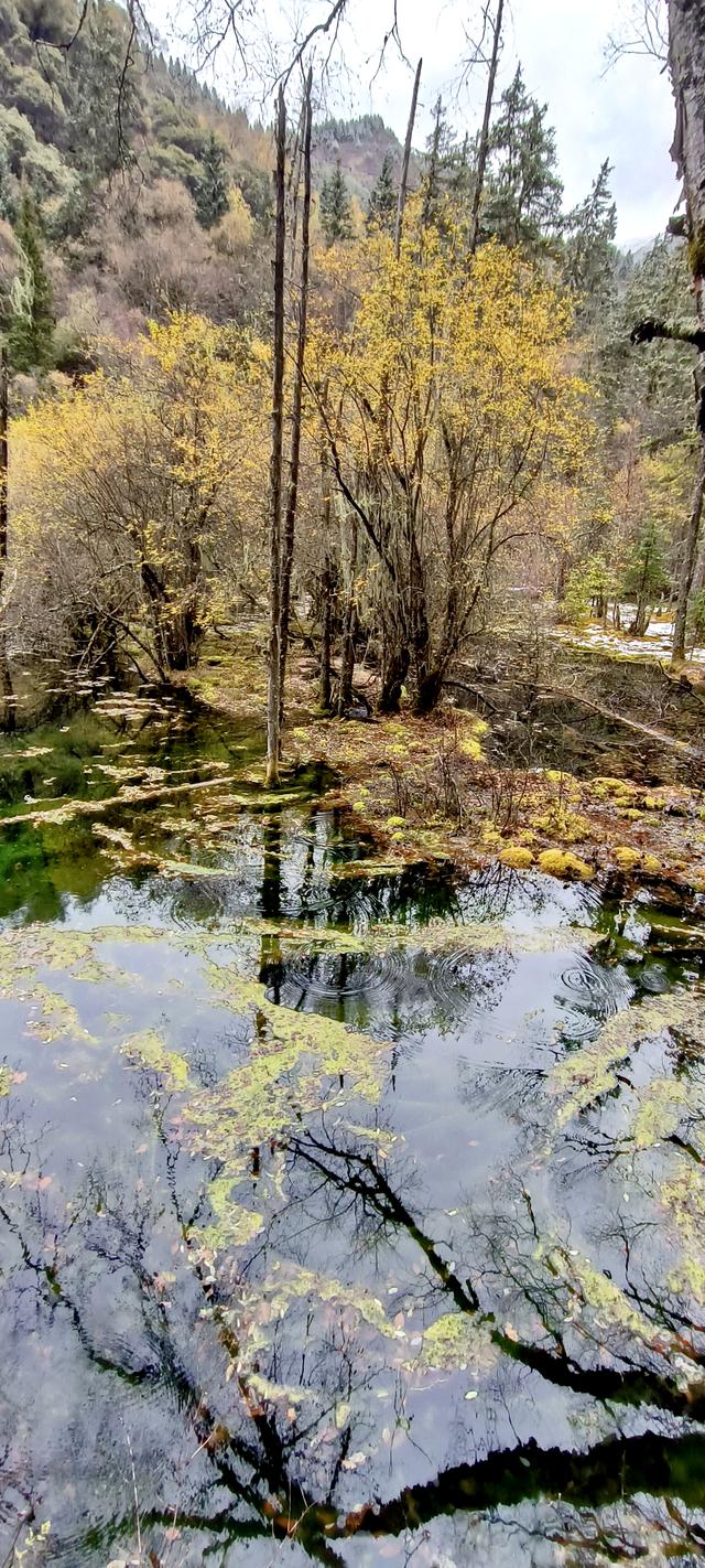 神仙池（一）竖幅