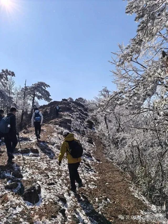 邂逅2026年的第一场醉美雾凇!温州四海山的雾凇美爆了!