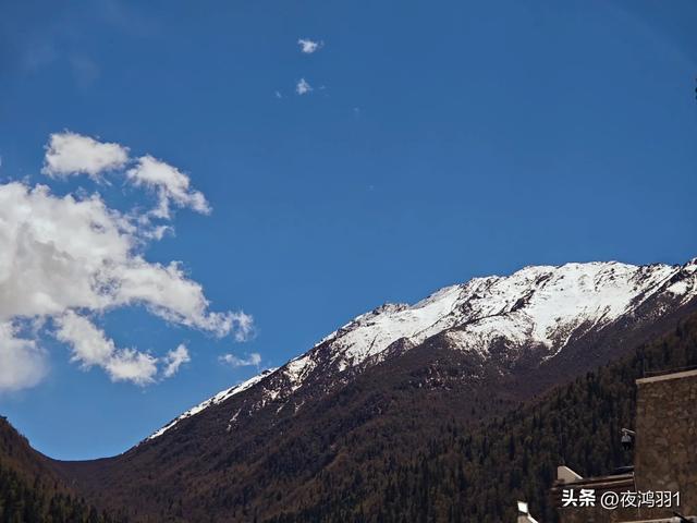 理小路环线今日风景！